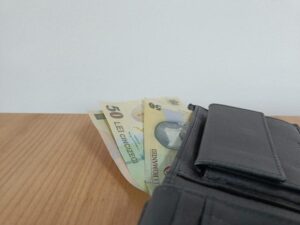 Ofertele pentru economiile plasate pentru un an/Plasarea banilor în euro: la banci sau în titluri de stat?/Cine ar bate inflația dacă ai economii Ofertele pentru economiile plasate pentru un an/Plasarea banilor în euro: la banci sau în titluri de stat?/Cine ar bate inflația dacă ai economi