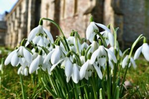 Primăvară cu capricii. Care vor fi valorile termice în următoarele două săptămâni Primăvară cu capricii. Care vor fi valorile termice în următoarele două săptămâni