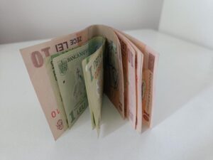 image-2021-08-25-24997240-41-bani-bancnote-lei