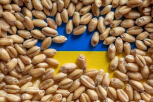 Kievul critică Polonia pentru interzicerea vânzării produselor agricole: „Pentru noi aceste măsuri sunt nejustificate şi ilegale"