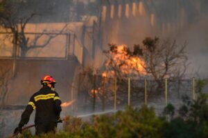 Grecia: Pădurile din Atena sunt mistuite de incendii