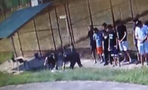 image-2023-07-29-26429182-41-incident-violent-centru-educativ-din-timis