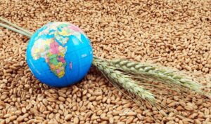 Protejarea infrastructurii portuare din Ucraina reprezintă o contribuție majoră la securitatea alimentară în întreaga lume
