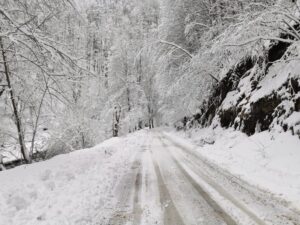 image-2021-12-10-25235591-41-peisaj-iarna