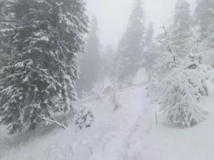 Vreme rece și precipitații în toată țara. Prognoza meteo pentru următoarele două săptămâni în fiecare regiune image-2023-02-6-26065437-41-peisaj-iarna