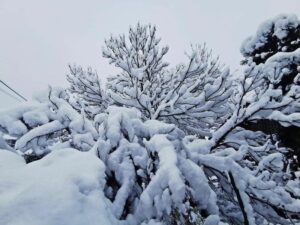 EADABF8F-81BA-4DB4-94D1-1F6FB46A17A4