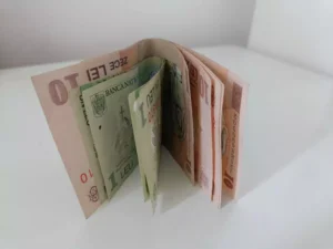 image-2021-08-25-24997240-41-bani-bancnote-lei