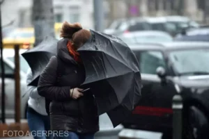 image-2023-10-15-26609142-41-vant-puternic