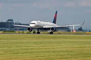 Un avion a fost nevoit să se întoarcă din drum după ce viermi au căzut dintr-o valiză pe un pasager