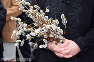 image-2024-03-22-26995936-41-duminica-floriilor