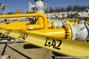 image-2016-11-8-21403154-41-conducte-gaze-31