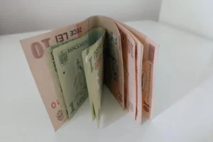 Românii au investit 1,2 miliarde lei în titluri de stat Fidelis până acum image-2021-08-25-24997240-41-bani-bancnote-lei (1)