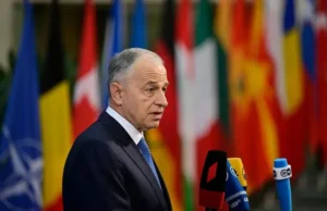 image-2022-06-4-25599139-41-mircea-geoana-secretarul-general-adjunct-nato-4