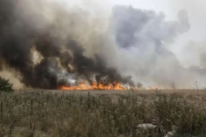 Incendiu Major pe DN 1 între Ploiești și Brașov: Trafic Afectat din cauza Fumului image-2023-08-4-26442180-41-incendiu-vegetatie