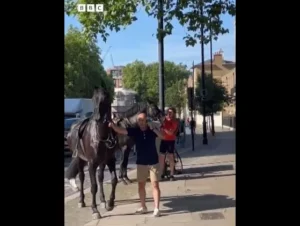 Trei cai militari aleargă prin centrul Londrei, iar unul dintre ei se ciocnește de un taxi Trei cai militari aleargă prin centrul Londrei, iar unul dintre ei se ciocnește de un taxi