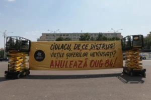 ID269467_INQUAM_Photos_George_Calin-e1720696479869