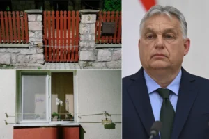 Cum a Fost Gestionată Problema Urșilor la Băile Tușnad, unde Viktor Orban va Vizita Sâmbătă viktor-orban-baile-tusnad