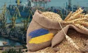 Screenshot 2024-10-08 at 13.09.10