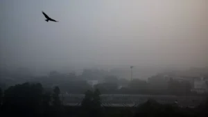 New Delhi devine cel mai poluat oraș din lume