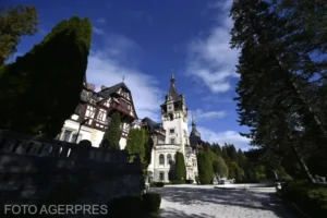 Fraude de milioane prin revânzarea biletelor la Peleș image-2024-02-27-26934033-41-castelul-peles