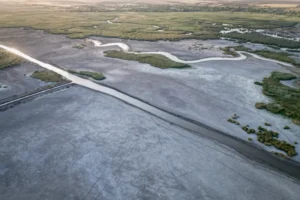 profimedia-0905616827