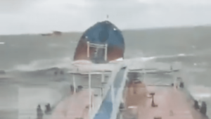 Catastrofă ecologică în Marea Neagră: Daune uriașe pentru ecosistemul regional