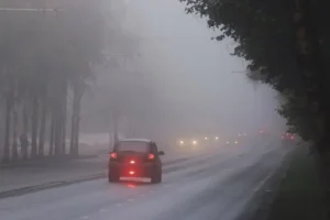 image-2024-03-19-26986472-41-ceata-oras