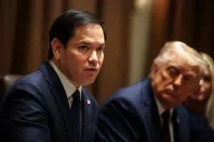 profimedia-0979085176 (3)