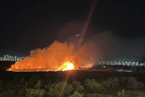 profimedia-1037480012