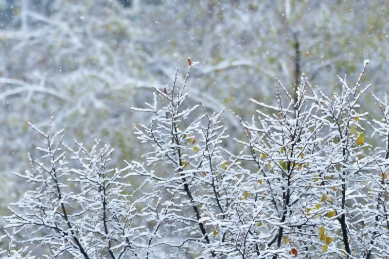 bozhin-karaivanov-VNPAQUPYoaw-unsplash