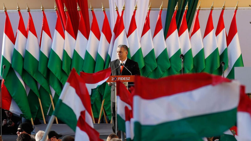 photo_2026-03-25_13-43-12