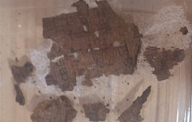 Papirusul cu textul din „Iliada” lui Homer