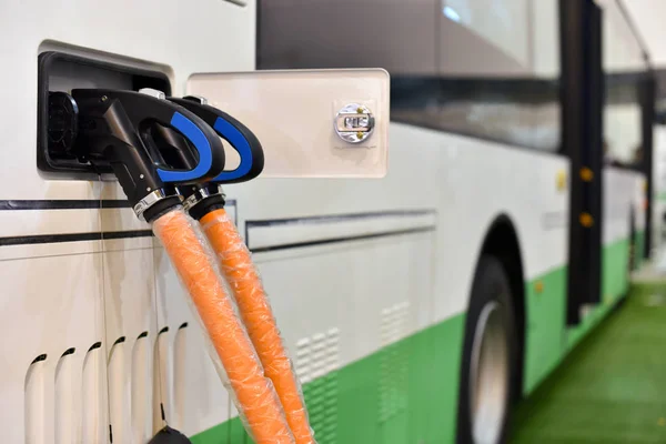 La Iași au fost achiziționate 26 de microbuze școlare electrice din fonduri PNRR/depositphotos