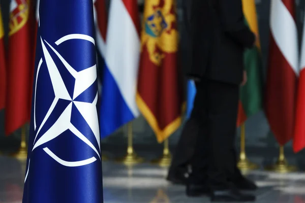 Ar putea rezista România 48 de ore în caz de atac? Un general NATO avertizează asupra riscurilor/depositphotos