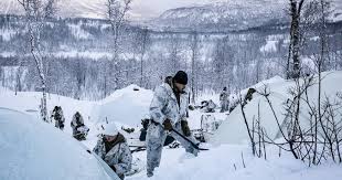 Escaladare la frontieră: NATO desfășoară exerciții militare de amploare în Finlanda pe fondul incursiunilor masive de drone / depositphotos