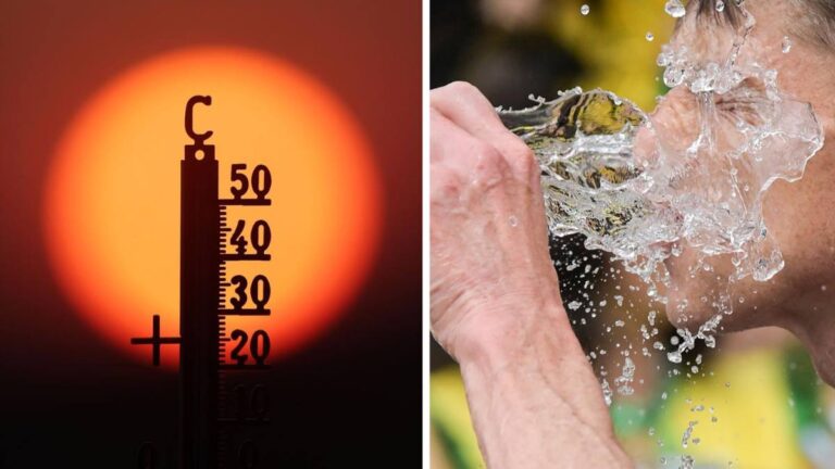 Iadul în Europa Centrală: record absolut de temperatură în Germania și măsuri de securitate de urgență / depositphotos