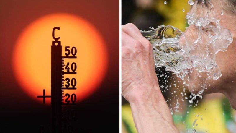 Iadul în Europa Centrală: record absolut de temperatură în Germania și măsuri de securitate de urgență / depositphotos
