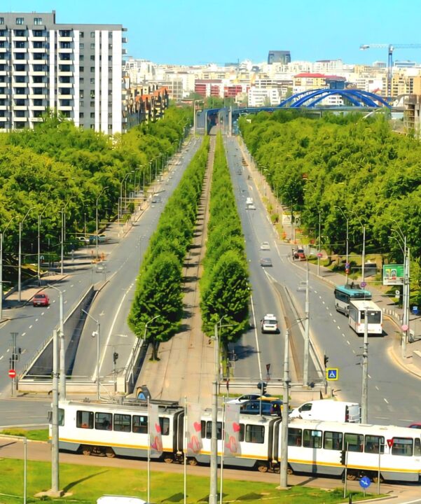 În București începe un amplu proiect de înverzire pe Calea Văcărești/Facebook Daniel Băluță