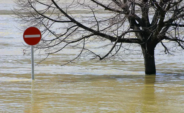 Cod portocaliu și cod galben de inundații în cea mai mare parte a României/depositphotos