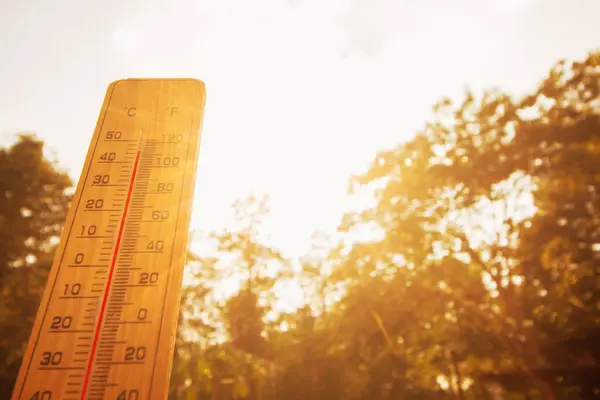 Canicula se intensifică în România: cod galben de avertizare în 18 județe/depositphotos