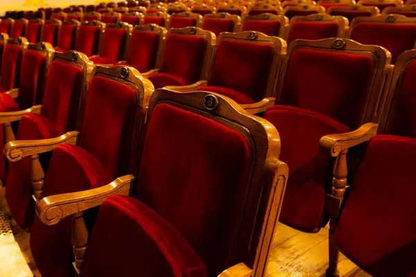 Guvernul alocă peste 244 milioane de lei pentru sprijinirea teatrelor, operelor și filarmonicilor/depositphotos