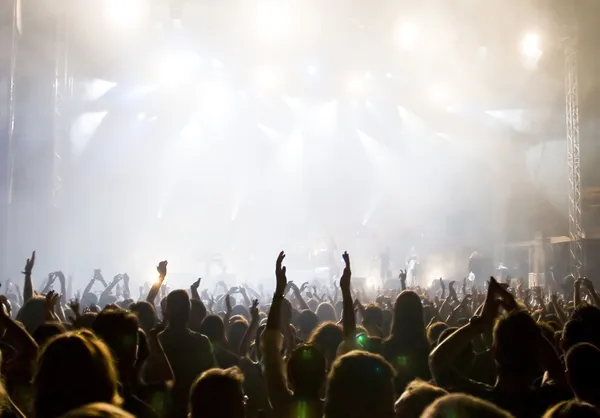 Festivalul rock „Seawolves Delta Fest” începe la Tulcea, cu participare internațională/depositphotos