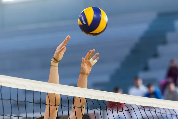 Dublu succes al României în Liga Europeană: victorii clare pentru naționalele de volei masculin și feminin/depositphotos