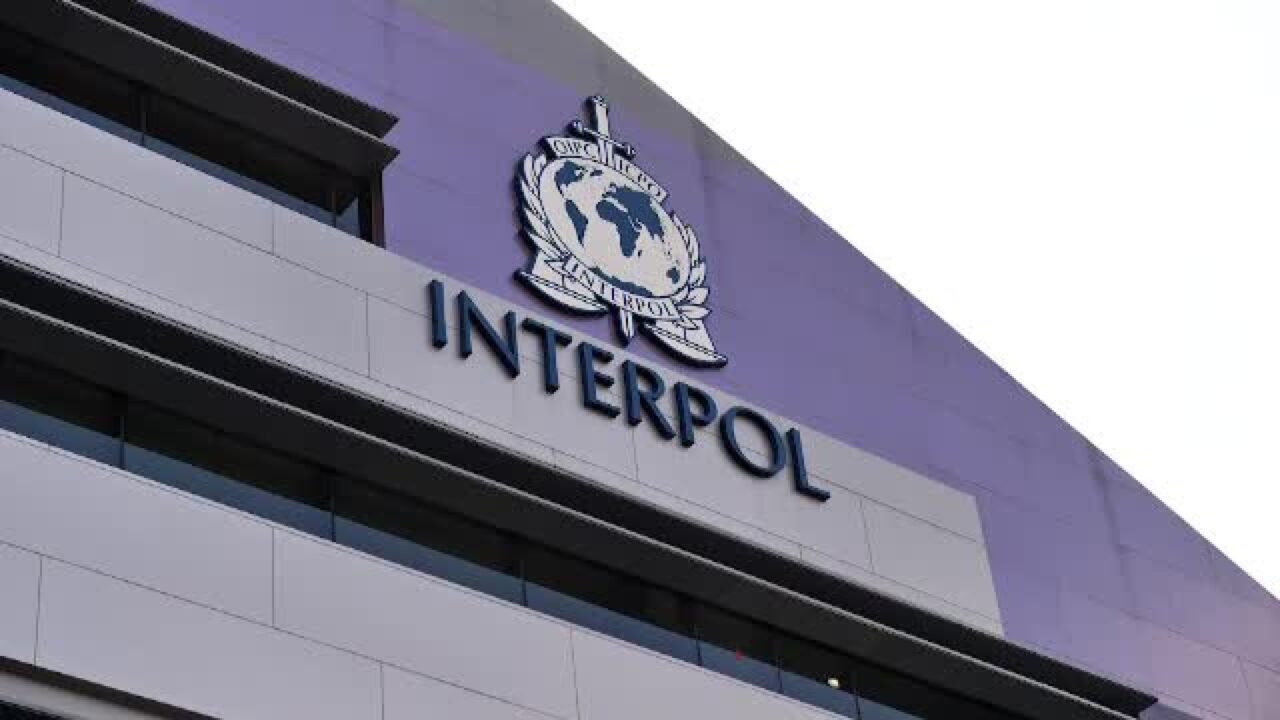 Operațiune de amploare a Interpolului în România și alte 96 de țări: peste 5.800 de persoane arestate pentru fraude prin inginerie socială / depositphotos
