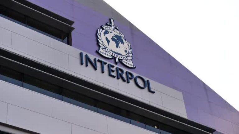 Operațiune de amploare a Interpolului în România și alte 96 de țări: peste 5.800 de persoane arestate pentru fraude prin inginerie socială / depositphotos