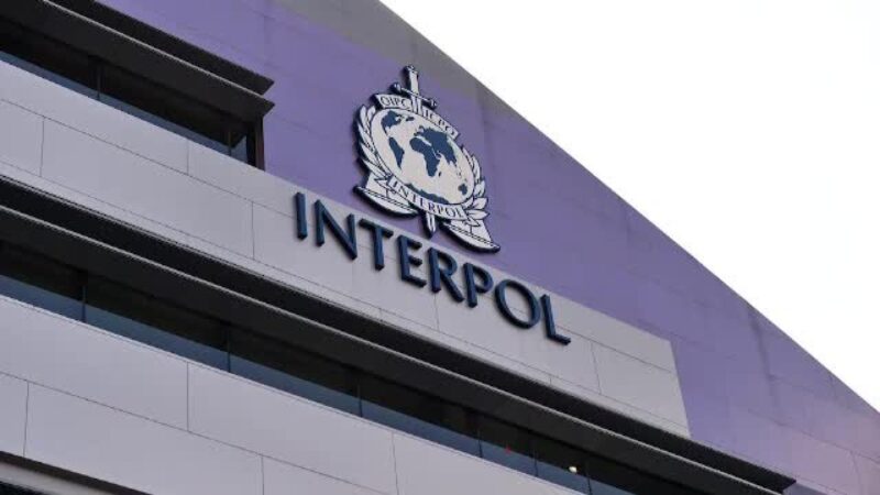 Operațiune de amploare a Interpolului în România și alte 96 de țări: peste 5.800 de persoane arestate pentru fraude prin inginerie socială / depositphotos