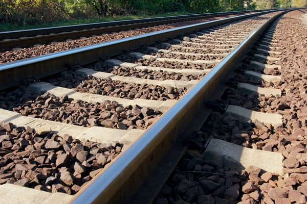 În România a scăzut numărul pasagerilor care utilizează transportul feroviar/depositphotos