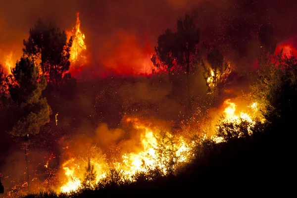 Europa este cuprinsă de un val de căldură record: incendii, evacuări și creșterea mortalității/depositphotos