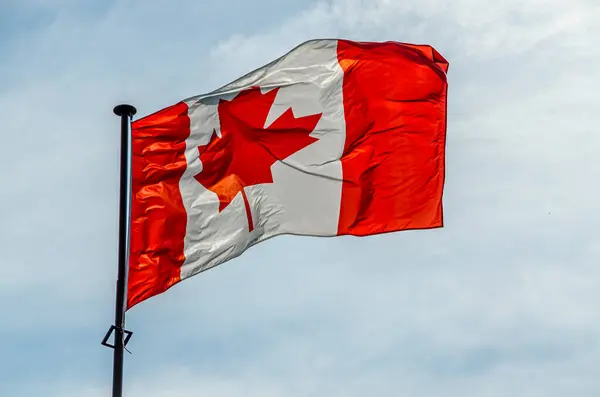 Canada va interzice temporar intrarea cetățenilor străini care au fost recent în Congo din cauza focarului de Ebola/ depositphotos