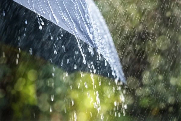 Inundații devastatoare au lovit stațiunile montane din România: străzi inundate în Bușteni și Sinaia, persoane rănite/ depositphotos
